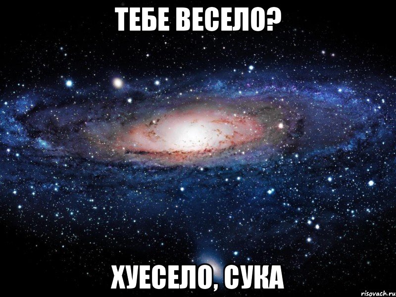 тебе весело? хуесело, сука, Мем Вселенная