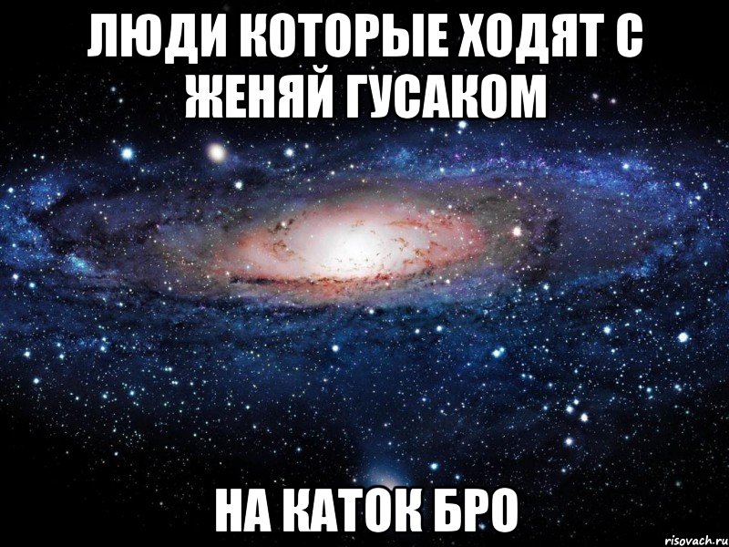 люди которые ходят с женяй гусаком на каток бро, Мем Вселенная
