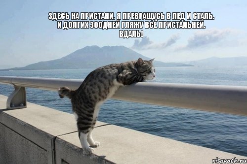 Здесь на пристани. я превращусь в лед и сталь. И долгих 300дней гляжу всё пристальней. Вдаль!
