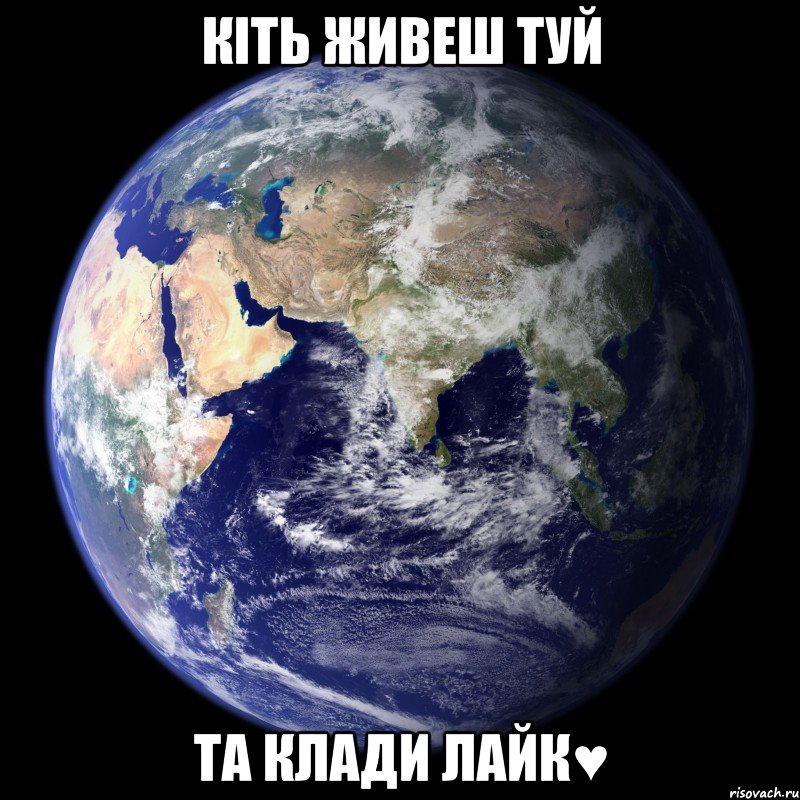 кіть живеш туй та клади лайк♥