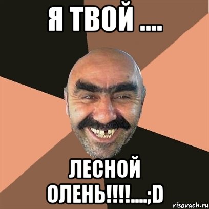 я твой .... лесной олень!!!....;d, Мем Я твой дом труба шатал