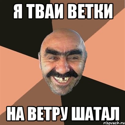 я тваи ветки на ветру шатал, Мем Я твой дом труба шатал