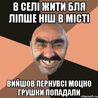 в селі жити бля ліпше ніш в місті вийшов пернувсі моцно грушки попадали, Мем Я твой дом труба шатал