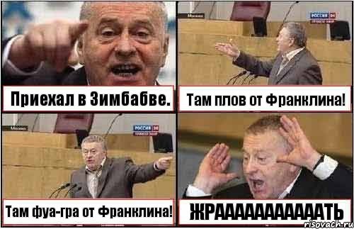 Приехал в Зимбабве. Там плов от Франклина! Там фуа-гра от Франклина! ЖРАААААААААААТЬ, Комикс жиреновский