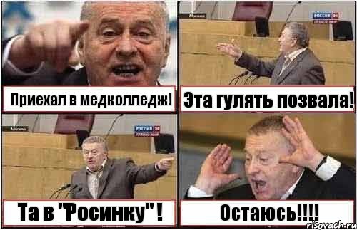 Приехал в медколледж! Эта гулять позвала! Та в "Росинку" ! Остаюсь!!!, Комикс жиреновский