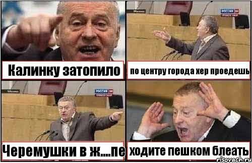 Калинку затопило по центру города хер проедешь Черемушки в ж....пе ходите пешком блеать, Комикс жиреновский