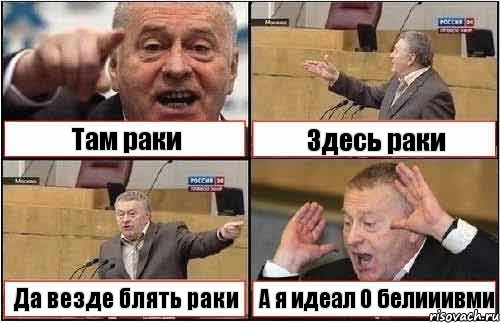 Там раки Здесь раки Да везде блять раки А я идеал О белииивми, Комикс жиреновский