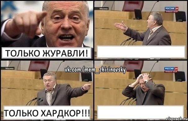 только журавли!  Только Хардкор!!! , Комикс Жирик