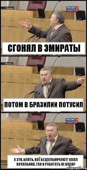 Сгонял в Эмираты Потом в Бразилии потусил А эти, блять, всё бездельничают! Уехал начальник, так и работать не надо?, Комикс Жириновский разводит руками 3