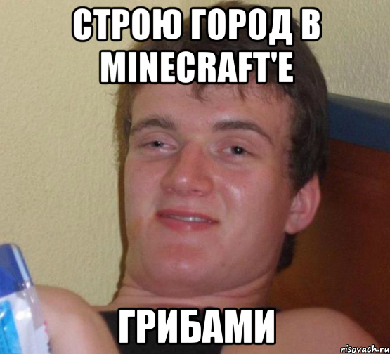 строю город в minecraft'е грибами, Мем 10 guy (Stoner Stanley really high guy укуренный парень)