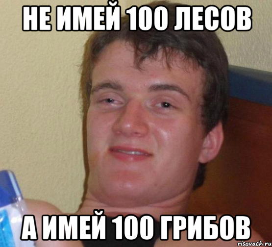 не имей 100 лесов а имей 100 грибов, Мем 10 guy (Stoner Stanley really high guy укуренный парень)