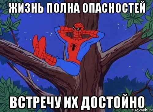 жизнь полна опасностей встречу их достойно, Мем 123