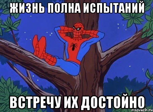 жизнь полна испытаний встречу их достойно, Мем 123