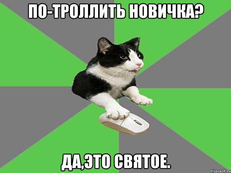 по-троллить новичка? да,это святое., Мем 1