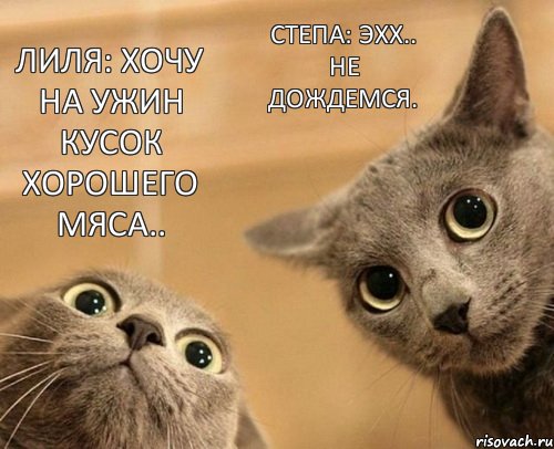 Лиля: Хочу на ужин кусок хорошего мяса.. Степа: Эхх.. Не дождемся., Комикс  2 кота