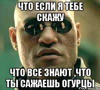 что если я тебе скажу что все знают ,что ты сажаешь огурцы, Мем  а что если я скажу тебе