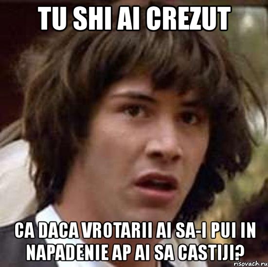 tu shi ai crezut ca daca vrotarii ai sa-i pui in napadenie ap ai sa castiji?, Мем А что если (Киану Ривз)