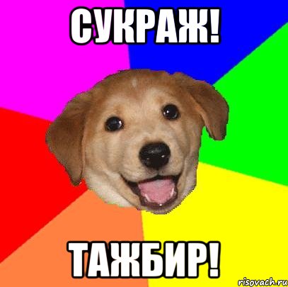 сукраж! тажбир!, Мем Advice Dog