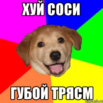 хуй соси губой трясм, Мем Advice Dog