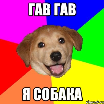 гав гав я собака, Мем Advice Dog