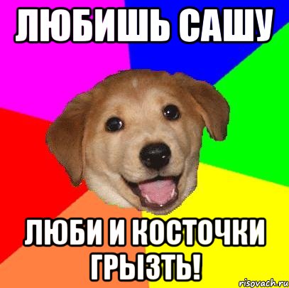 любишь сашу люби и косточки грызть!, Мем Advice Dog