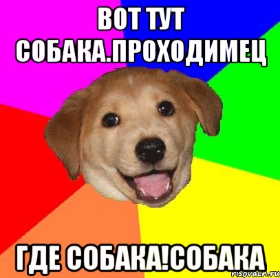 вот тут собака.проходимец где собака!собака, Мем Advice Dog