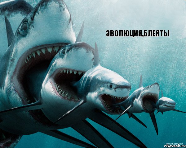 ЭВОЛЮЦИЯ,БЛЕЯТЬ!, Комикс Акула в акуле