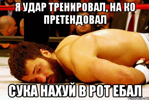 я удар тренировал, на ко претендовал сука нахуй в рот ебал, Мем арловски