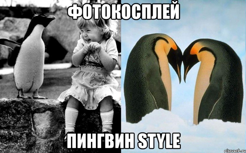 фотокосплей пингвин style, Мем арс