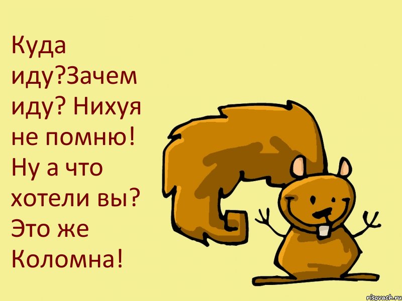 Куда иду?Зачем иду? Нихуя не помню! Ну а что хотели вы? Это же Коломна!, Комикс  белка