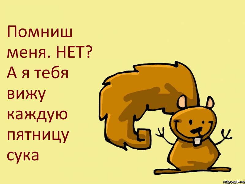 Помниш меня. НЕТ? А я тебя вижу каждую пятницу сука, Комикс  белка