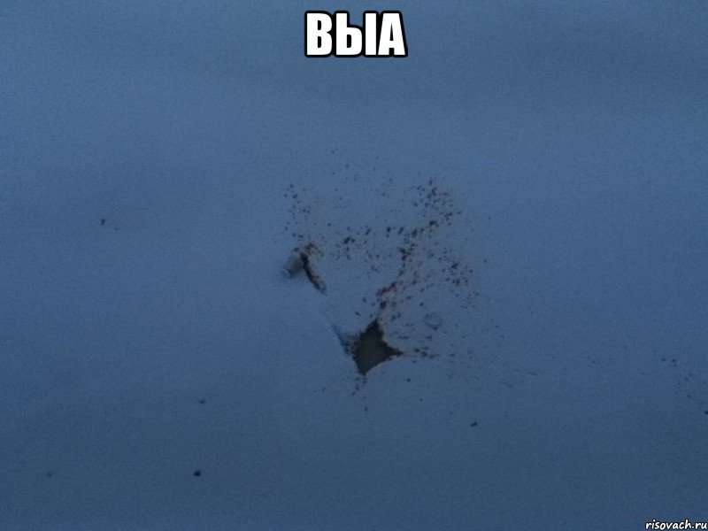 выа 