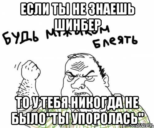 если ты не знаешь шинбер то у тебя никогда не было"ты упоролась", Мем блять