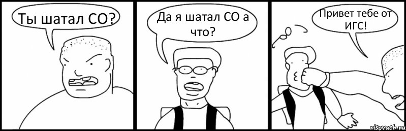 Ты шатал СО? Да я шатал СО а что? Привет тебе от ИГС!, Комикс Быдло и школьник