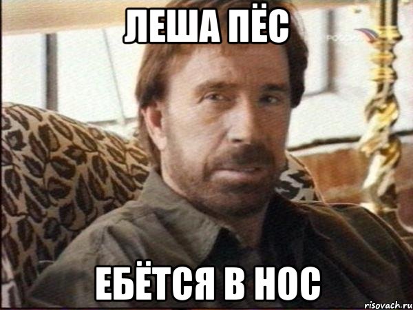 леша пёс ебётся в нос, Мем чак норрис