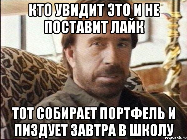 кто увидит это и не поставит лайк тот собирает портфель и пиздует завтра в школу, Мем чак норрис