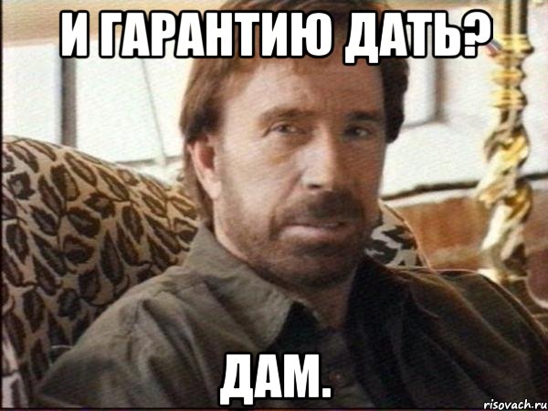 и гарантию дать? дам., Мем чак норрис