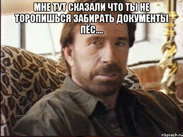мне тут сказали что ты не торопишься забирать документы пёс.... , Мем чак норрис