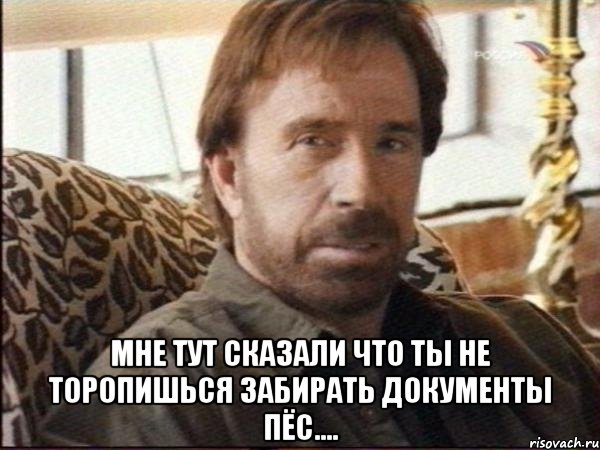  мне тут сказали что ты не торопишься забирать документы пёс...., Мем чак норрис