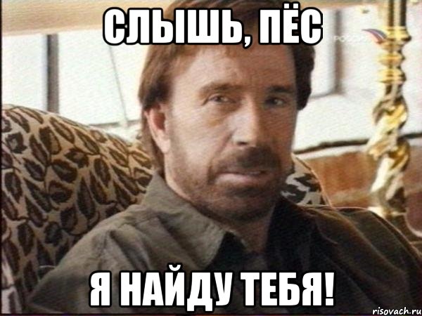 слышь, пёс я найду тебя!, Мем чак норрис