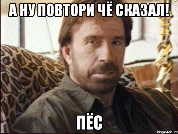а ну повтори чё сказал! пёс, Мем чак норрис