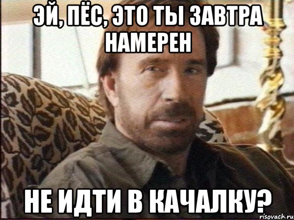 эй, пёс, это ты завтра намерен не идти в качалку?, Мем чак норрис