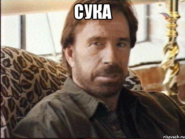 сука , Мем чак норрис