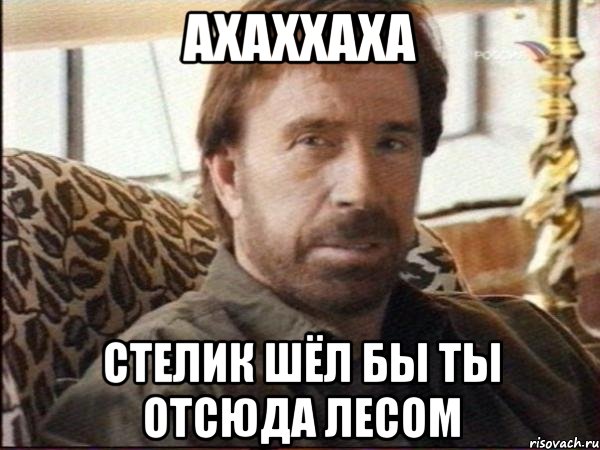 ахаххаха стелик шёл бы ты отсюда лесом