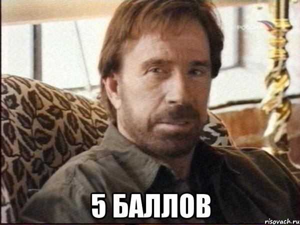  5 баллов