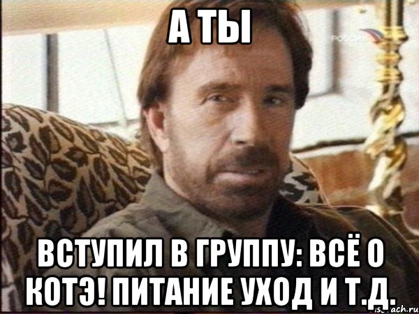 а ты вступил в группу: всё о котэ! питание уход и т.д.