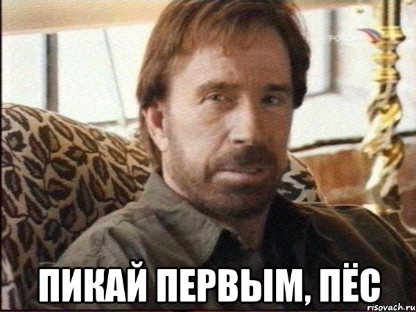  пикай первым, пёс