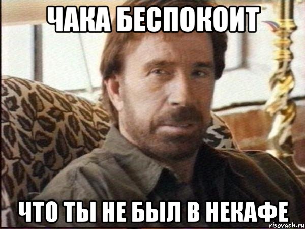 чака беспокоит что ты не был в некафе