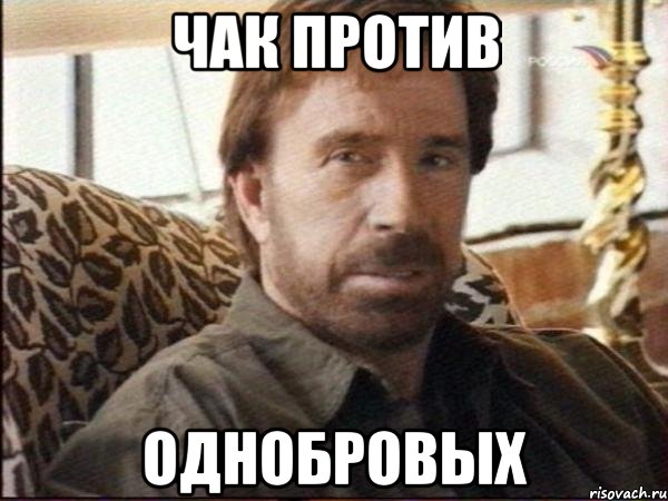 чак против однобровых