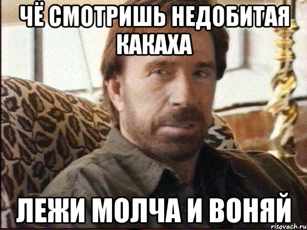 чё смотришь недобитая какаха лежи молча и воняй